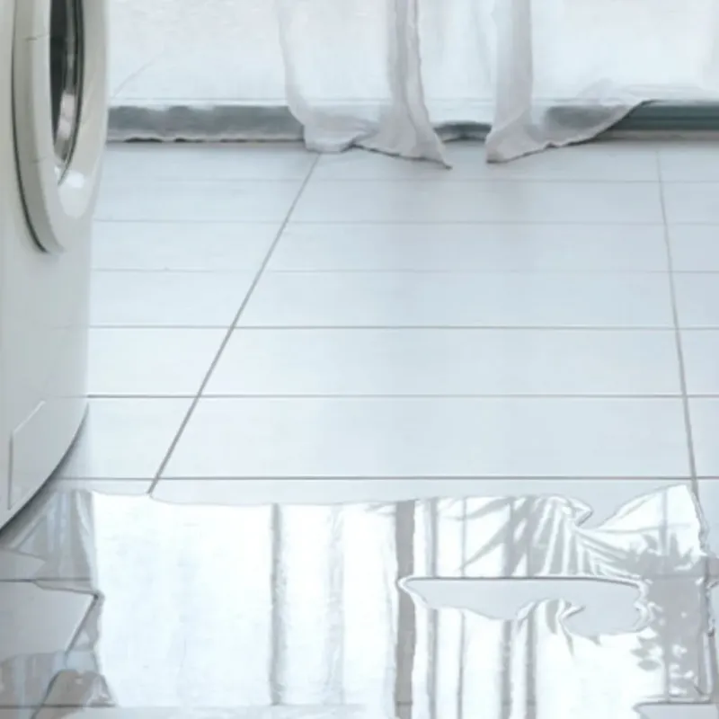 Appliance Leak Cleanup in Pierce County, NE