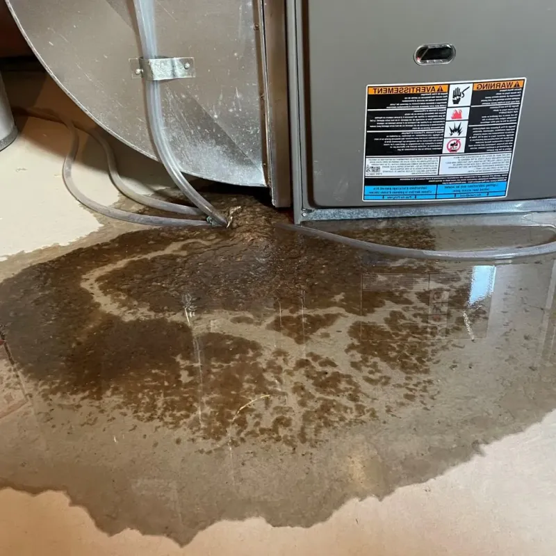 Pipe Burst and Leak Restoration in Pierce County, NE