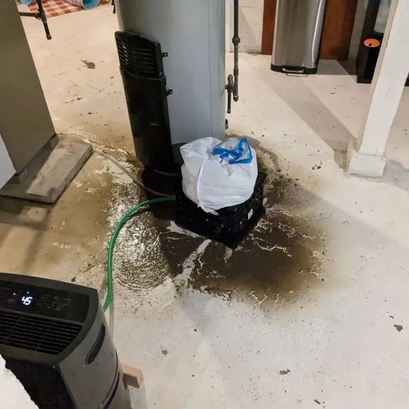 Sewage Backup Cleanup Service in Pierce County, NE